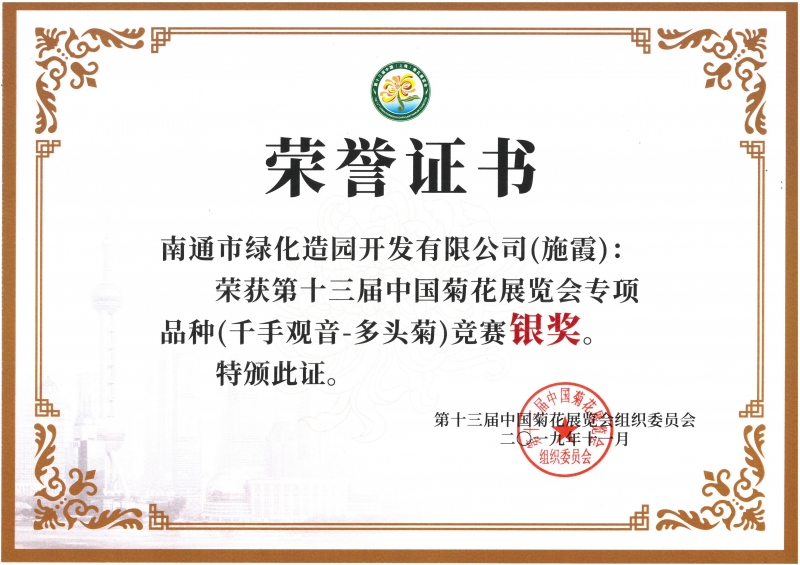 十三屆中國菊花展覽會專項品種（千手觀音-多頭菊）競賽銀獎（施霞）